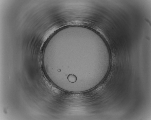 X0000101981075200808081610