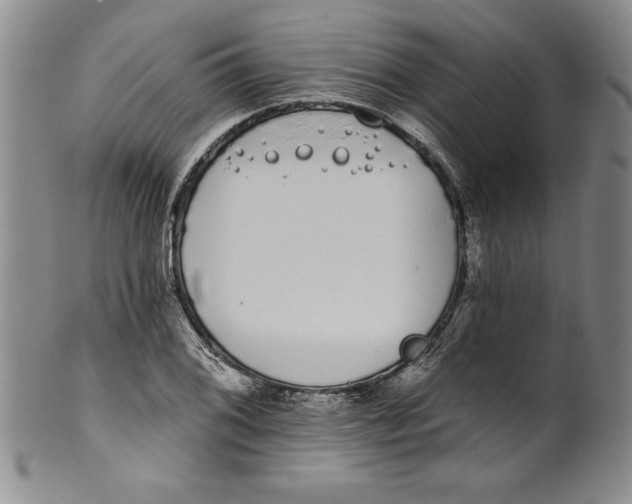 X0000101981076200808081610