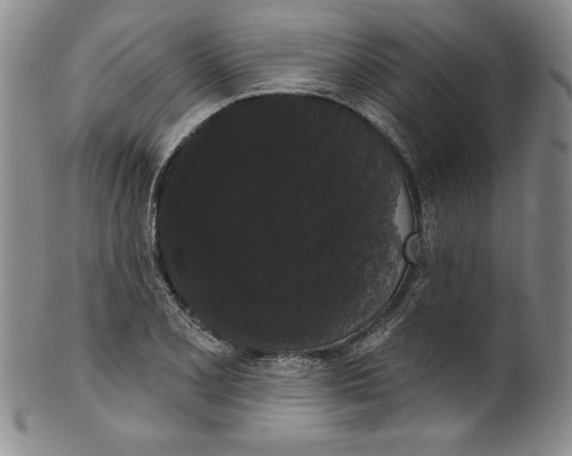 X0000101981077200808081610