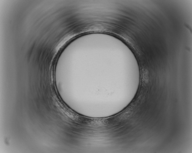 X0000101981078200808081610