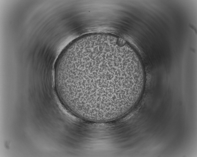 X0000101981079200808081610