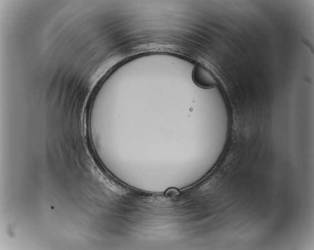 X0000101981082200808081610