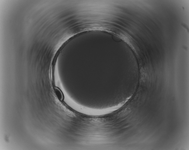 X0000101981084200808081610