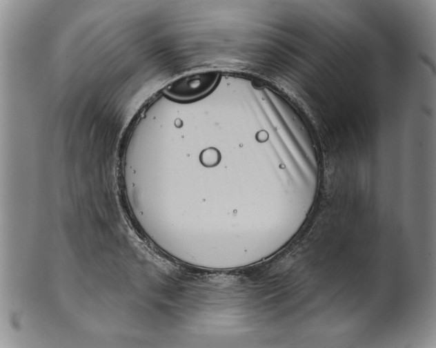 X0000101981085200808081610