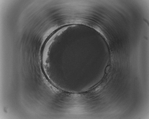 X0000101981088200808081610