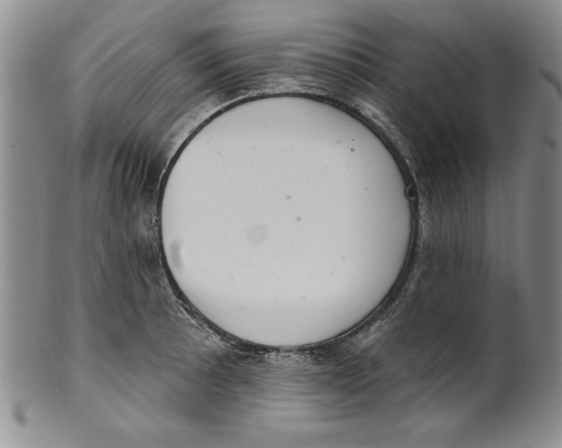 X0000101981089200808081609