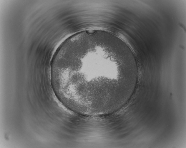 X0000101981092200808081609