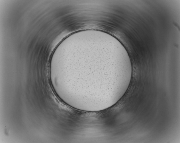 X0000101981094200808081609