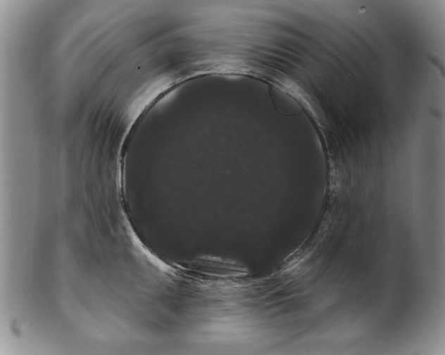 X0000101981095200808081609