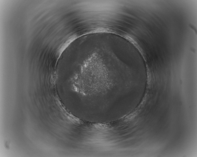 X0000101981097200808081609