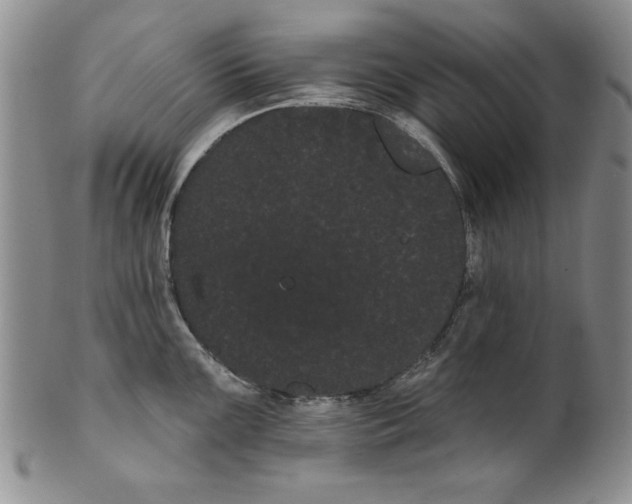 X0000101981099200808081609