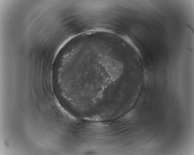 X0000101981100200808081609