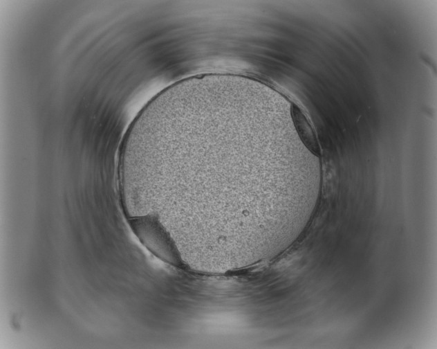 X0000101981103200808081609