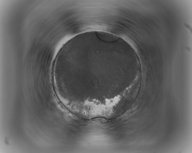 X0000101981104200808081609