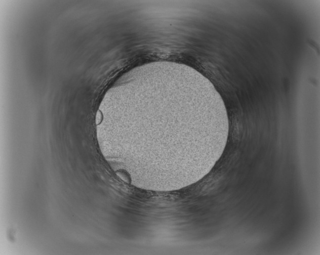 X0000101981105200808081609