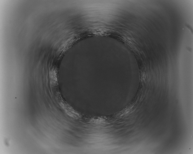 X0000101981106200808081609