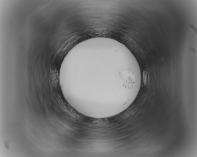 X0000101981107200808081609