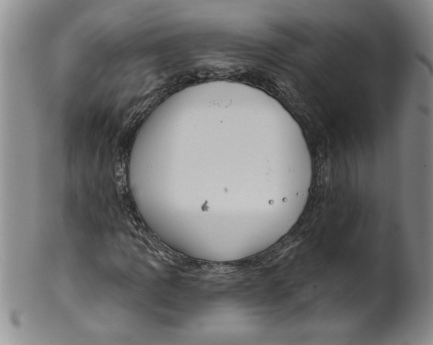 X0000101981109200808081609