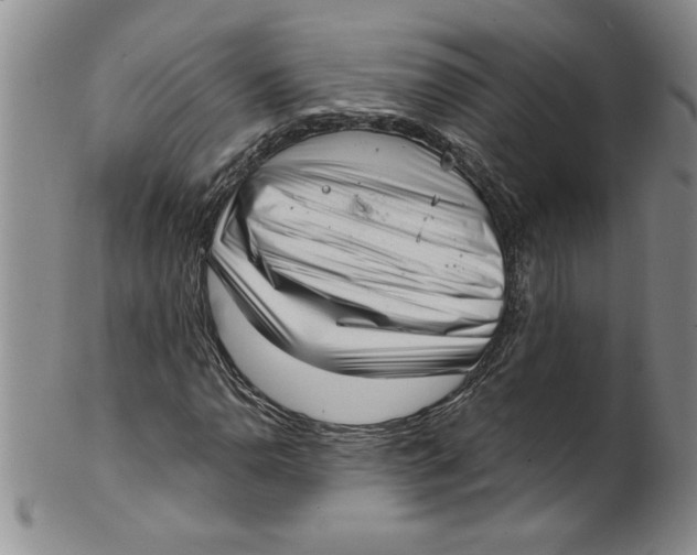 X0000101981110200808081609