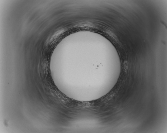 X0000101981111200808081609