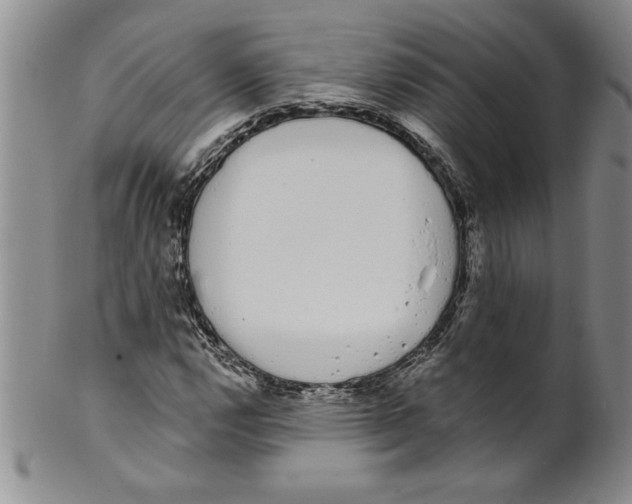 X0000101981112200808081609