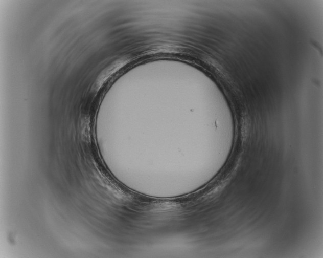 X0000101981113200808081609