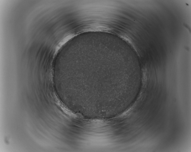 X0000101981114200808081609