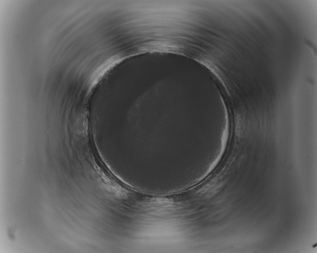 X0000101981115200808081609