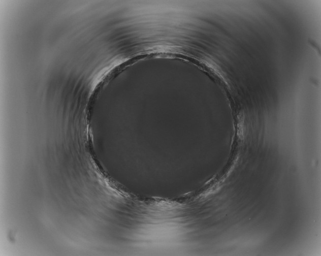 X0000101981117200808081609