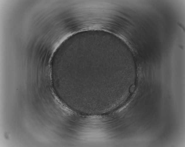 X0000101981118200808081609