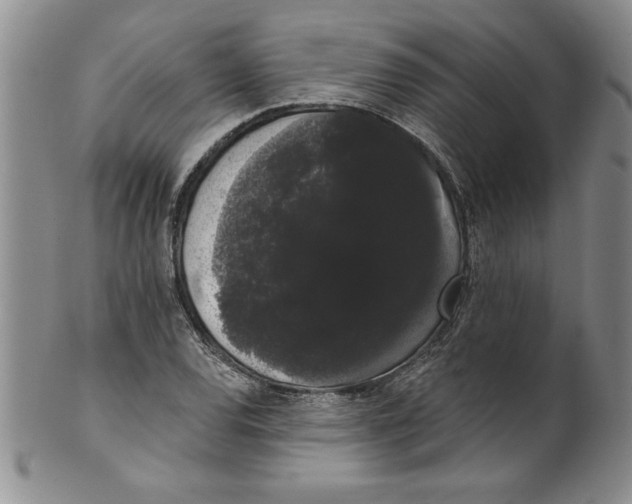 X0000101981120200808081609