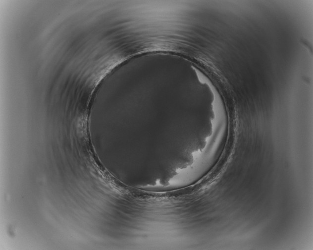 X0000101981121200808081609