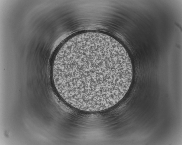 X0000101981122200808081609