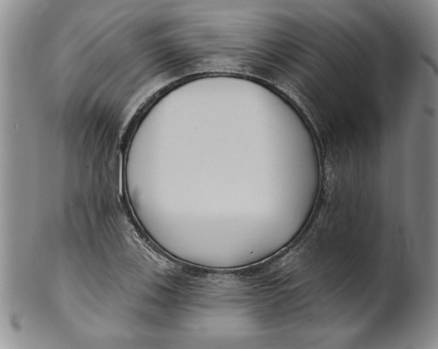 X0000101981123200808081609