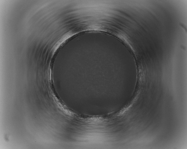 X0000101981125200808081609