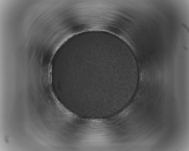 X0000101981126200808081609