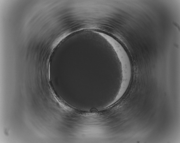 X0000101981127200808081609