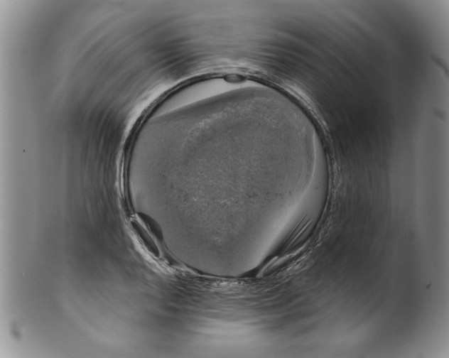 X0000101981128200808081609