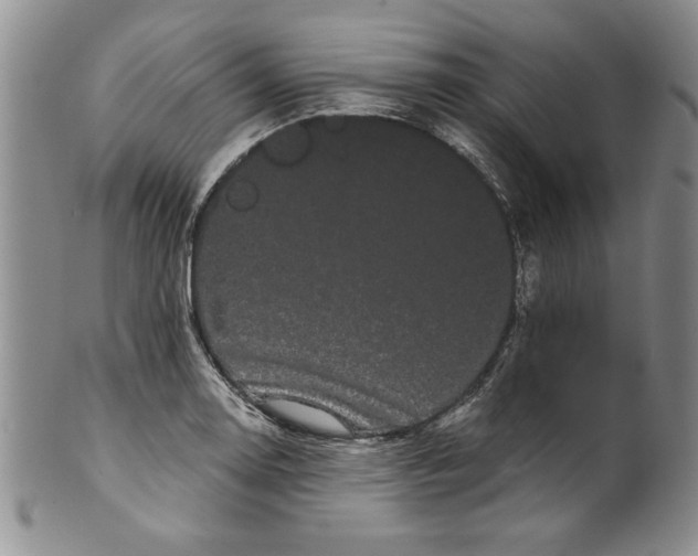 X0000101981130200808081609