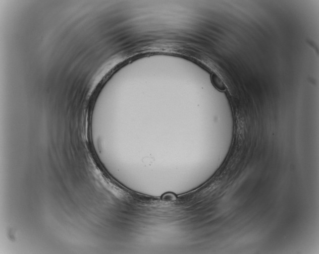 X0000101981131200808081609