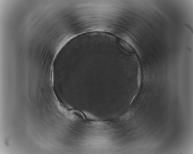 X0000101981132200808081609