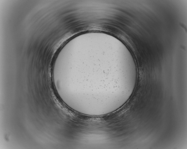 X0000101981133200808081609