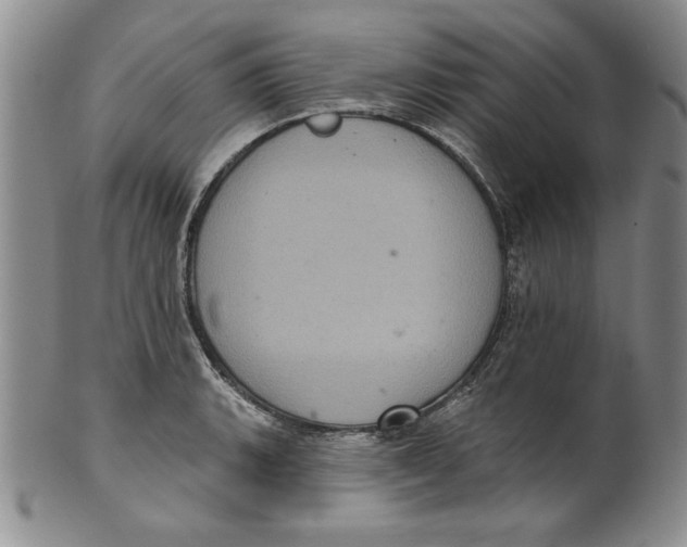 X0000101981135200808081609