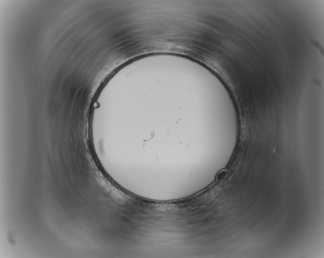 X0000101981136200808081609