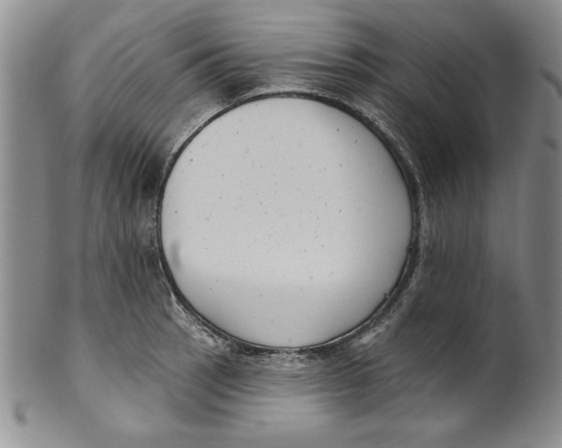 X0000101981137200808081609