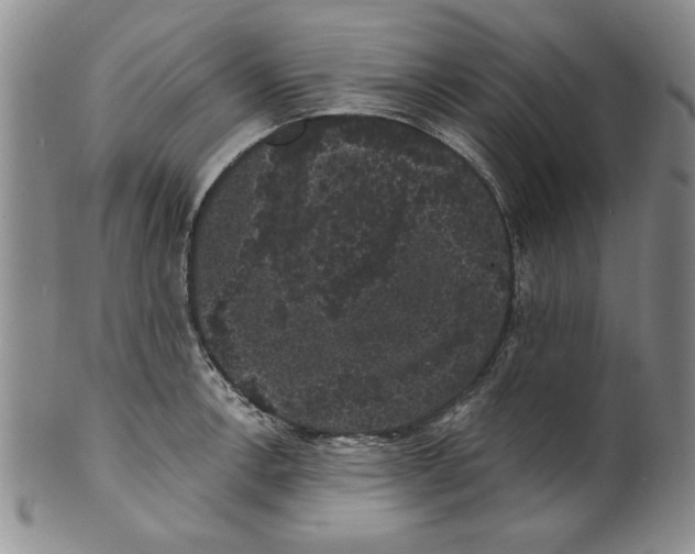 X0000101981138200808081609