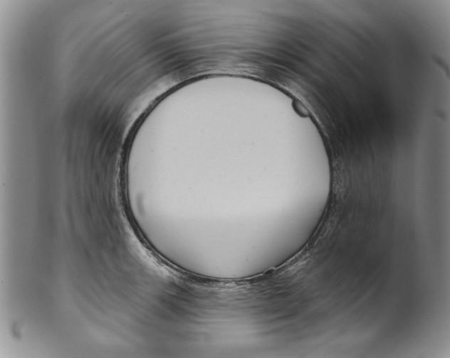 X0000101981139200808081609