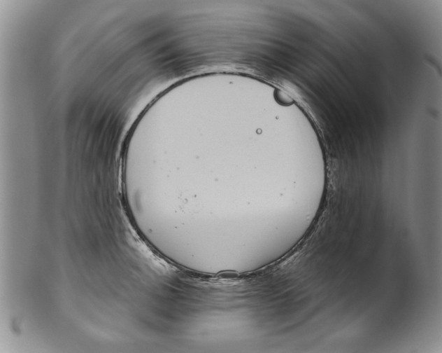 X0000101981140200808081609