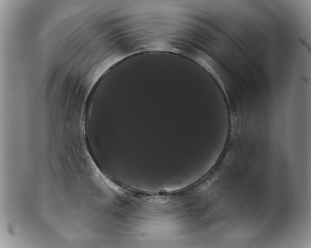 X0000101981141200808081609