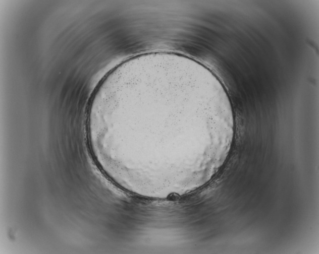 X0000101981142200808081609